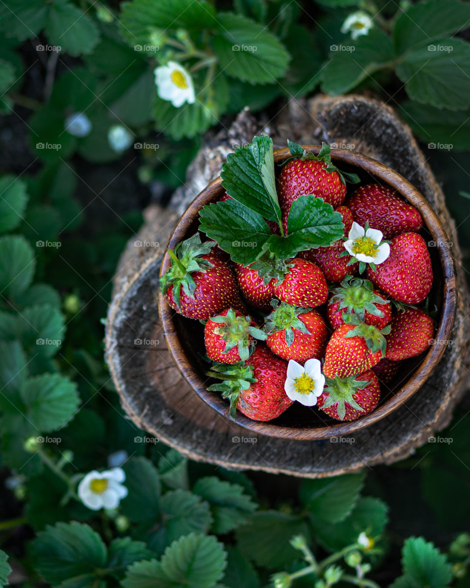 Bowl of fresh strawberries