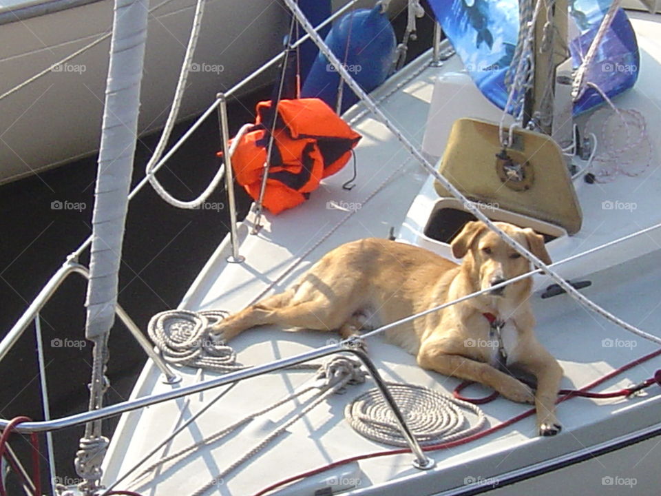 vacay?ready,steady,go