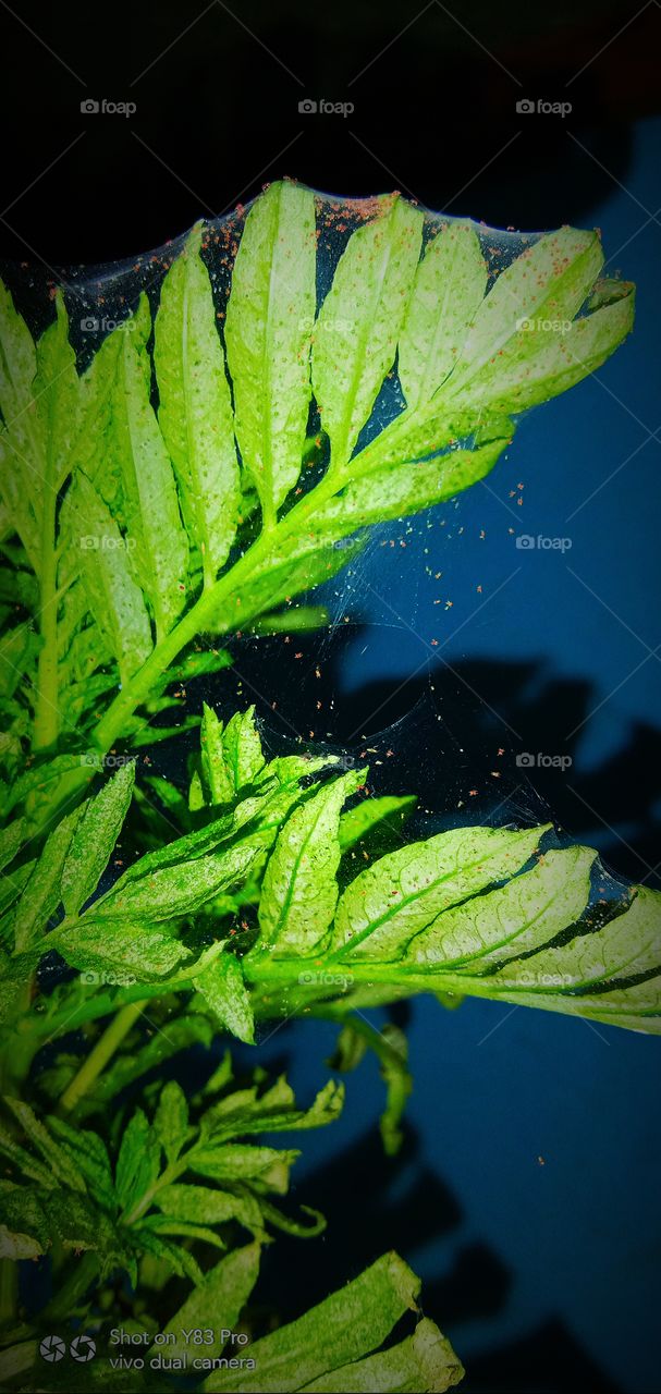 There is beauty in change, and these sunset quotes will remind you of the loveliness in endings that bring new beginnings.
Sunsets are not only beautiful, but they also have so much meaning. They signify endings, change, and transformation; they rem