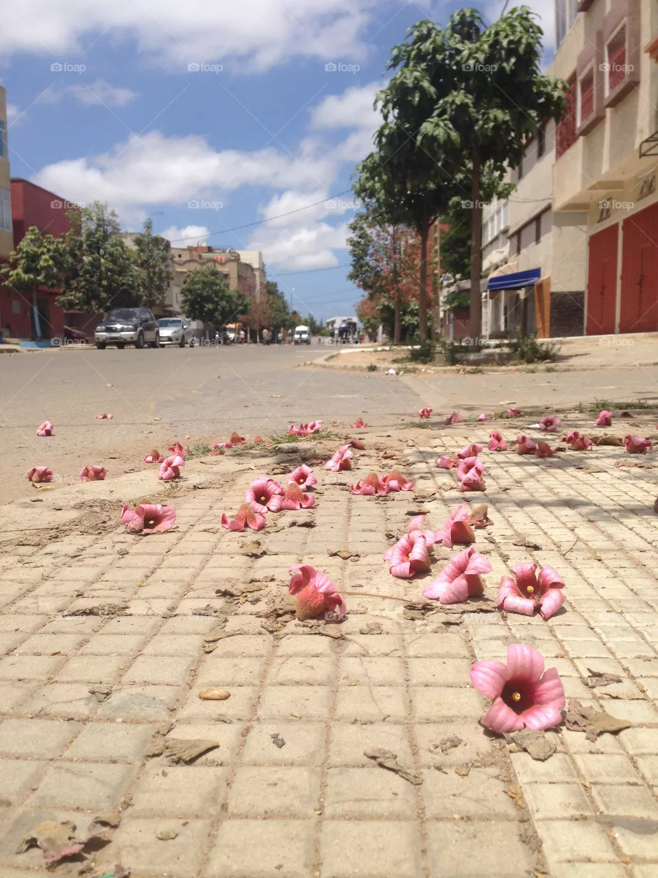 Save flowers 