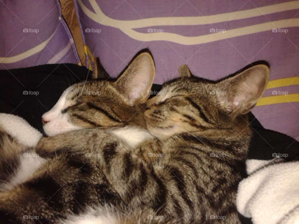 Allways together, even while they sleeping...