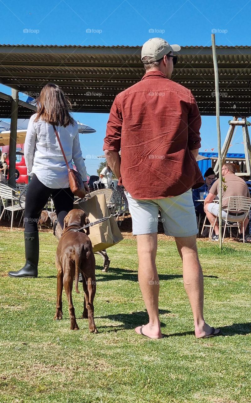 people walking dogs