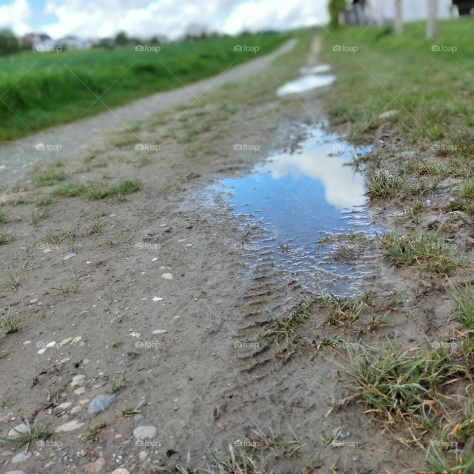 puddle