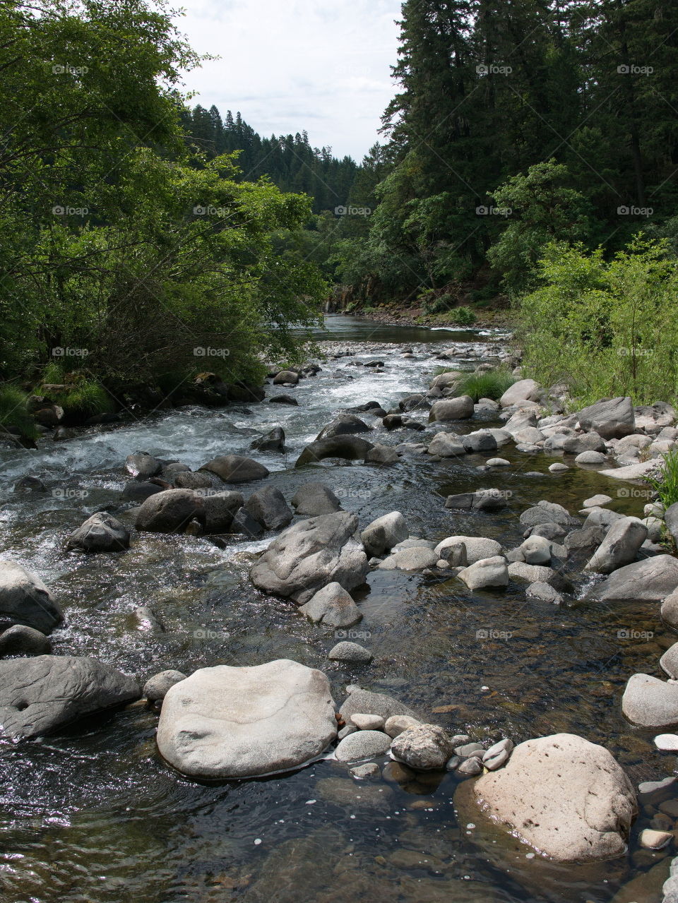 Boulders and rocks line the river banks of the magnificent waters of the Umpqua River in Southwestern Oregon on a summer morning. 