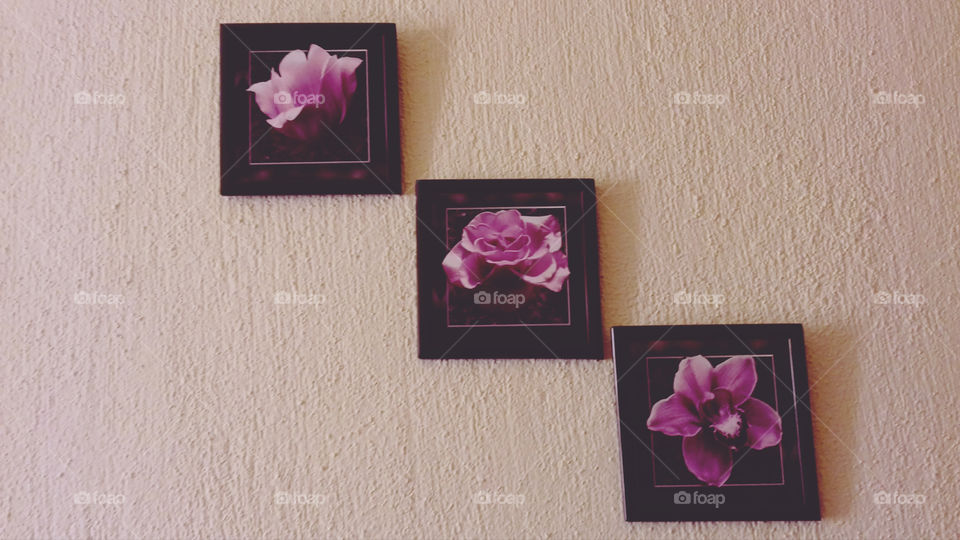 Flower Paintings