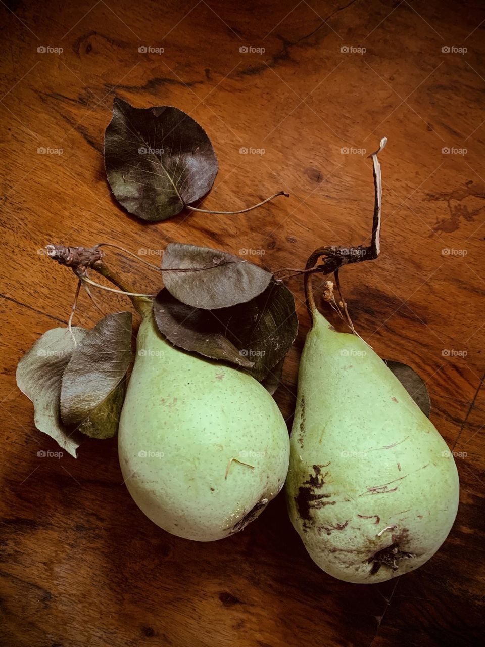 Still life, composition of pears and leaves on old wooden plank