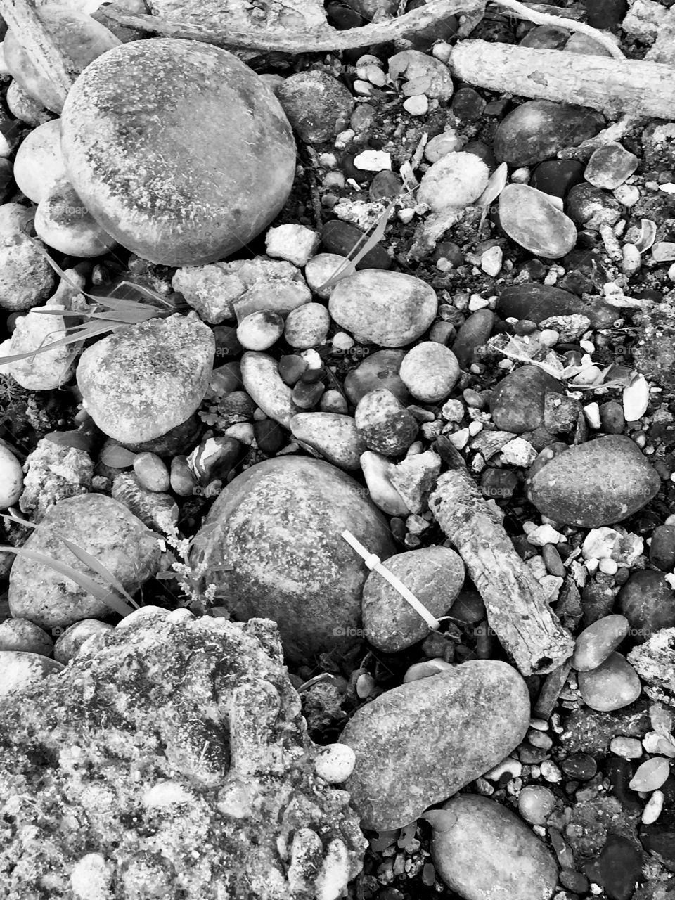 I can't help but wonder 