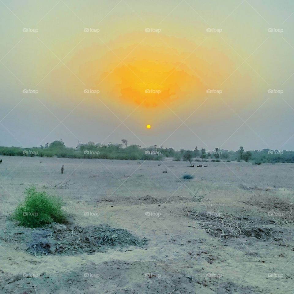Sunshine sunset at village