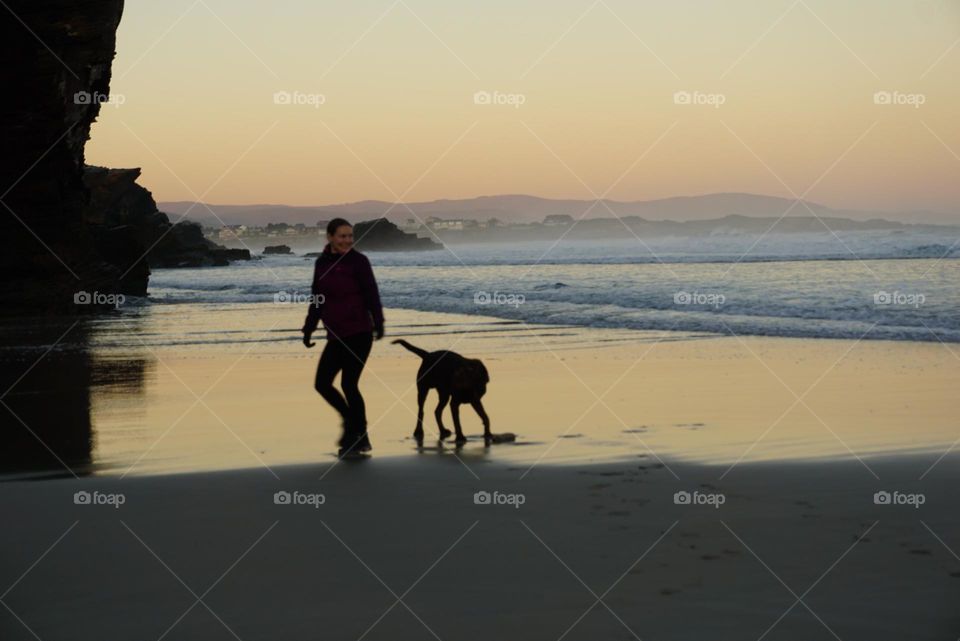 Beach#ocean#human#dog