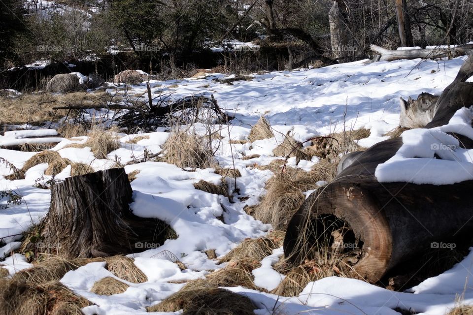 Inam-Innovation photography.