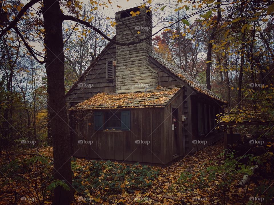 Fall foliage and cabin at Eloise Butler Gardens 