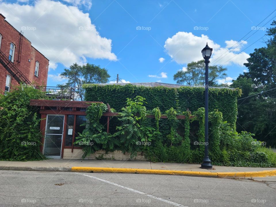 Overgrown Building Downtown