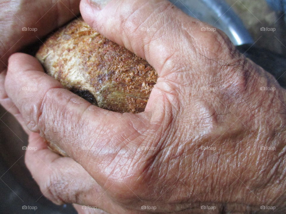 working hand with coconut