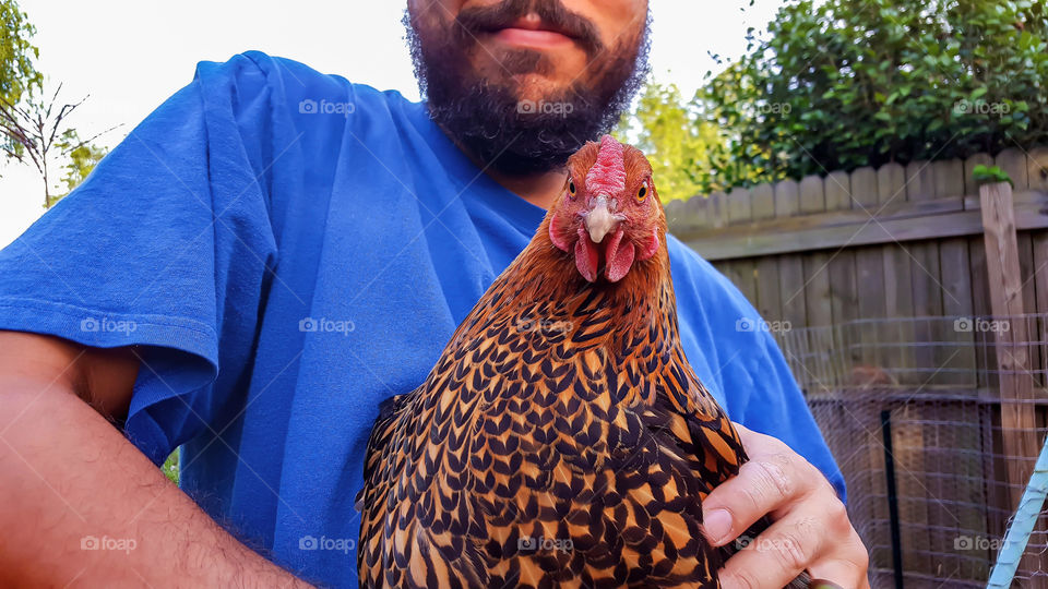 Backyard Chicken- My handsome hubby holding one of our urban backyard Laced Wyndottes' Peaky.