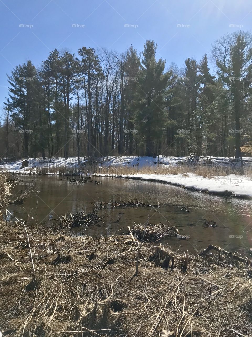 Stream off the trail