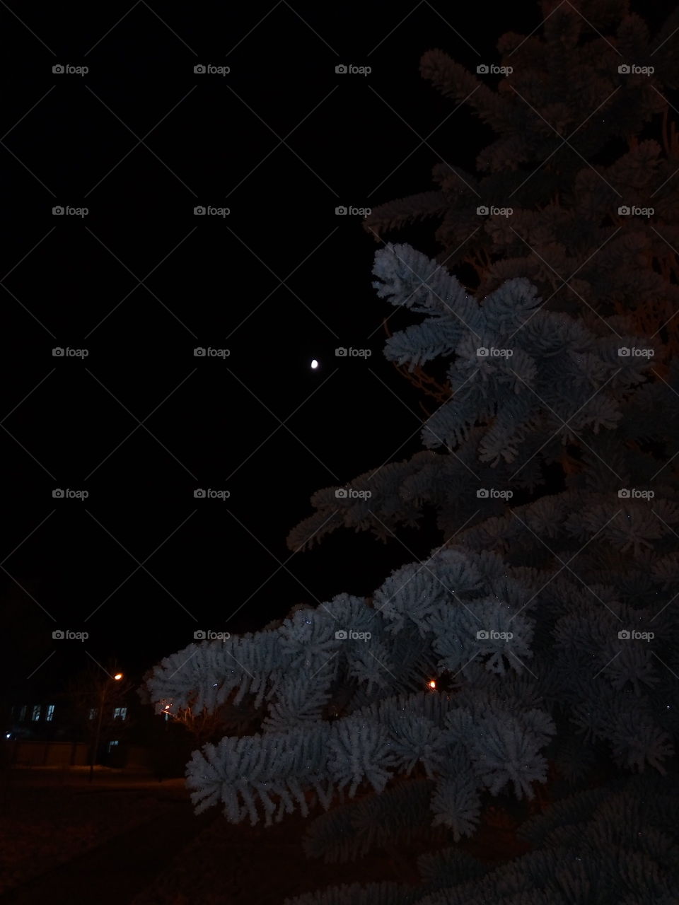 зима.новый год.луна.