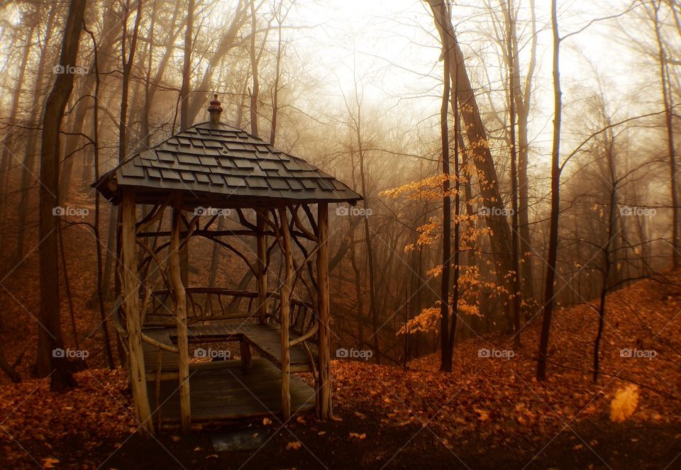 Rustic forest gazebo 