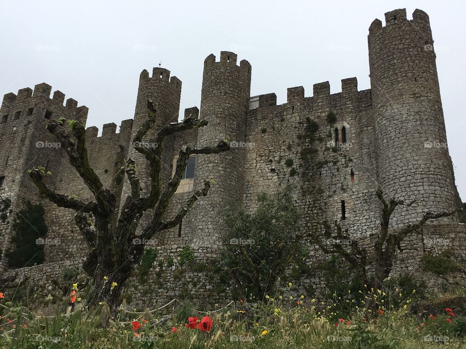 Castelo em Portugal 