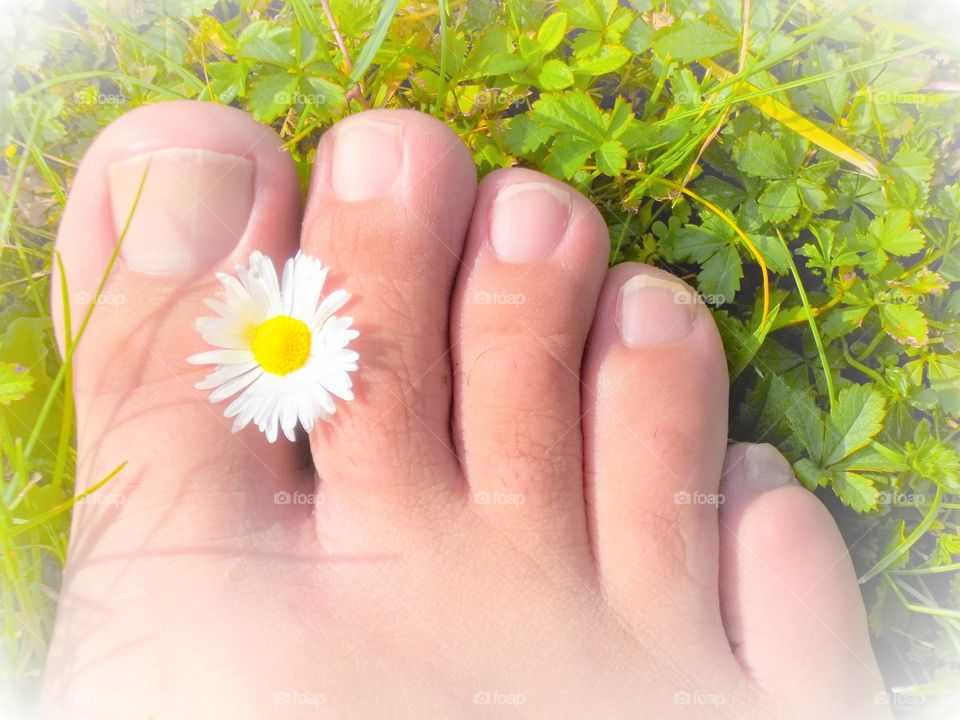Daisy between toes