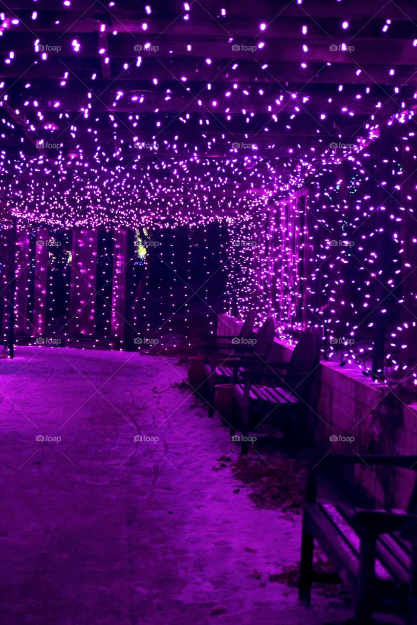 Purple Walkway