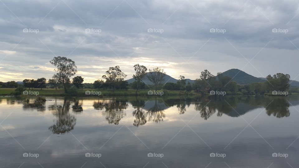 Along the river banks