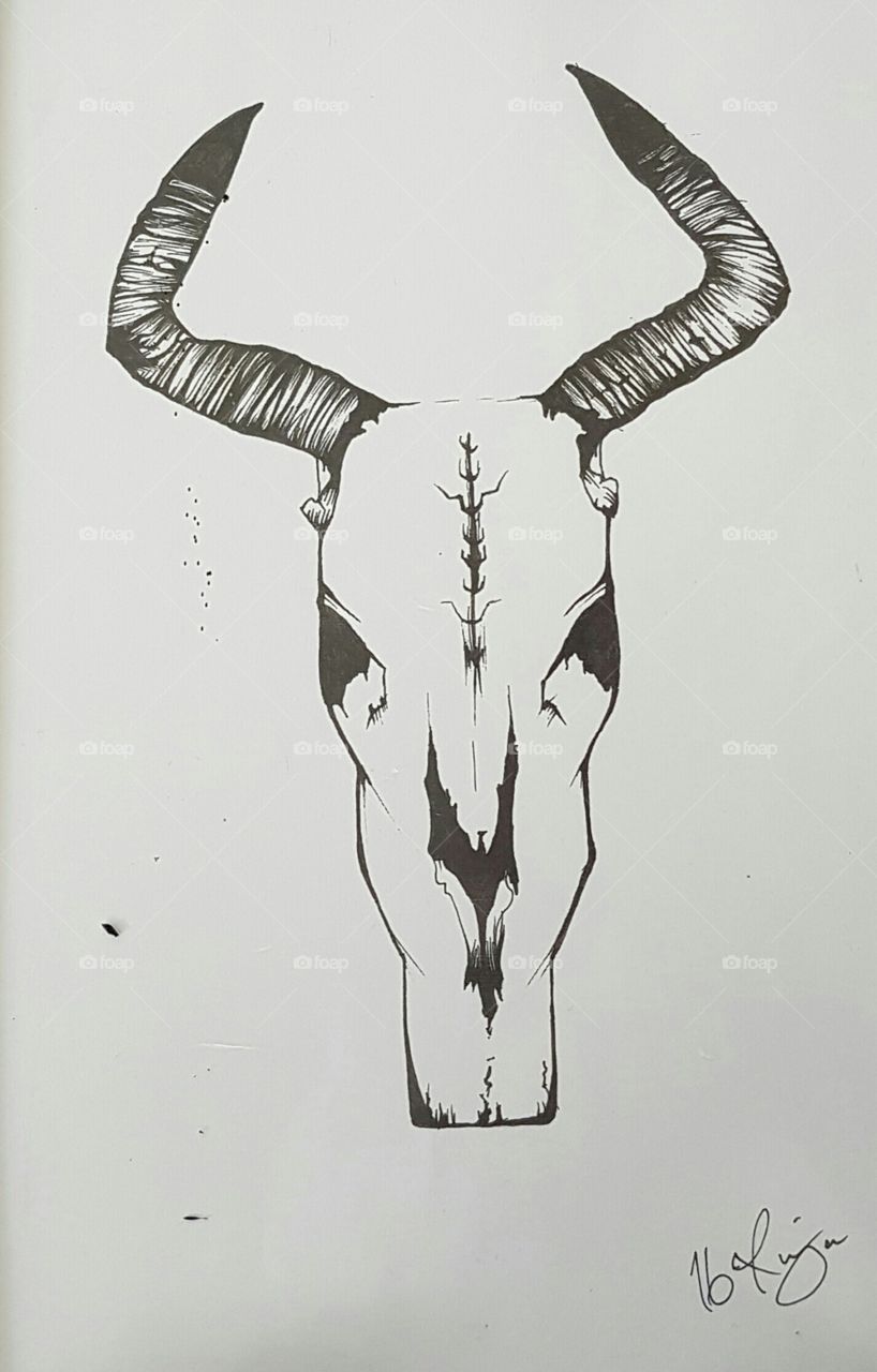 skull of animal. Black and White painting