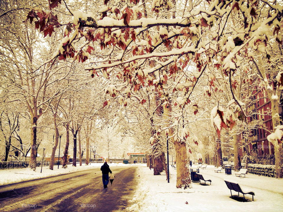 Winter walking