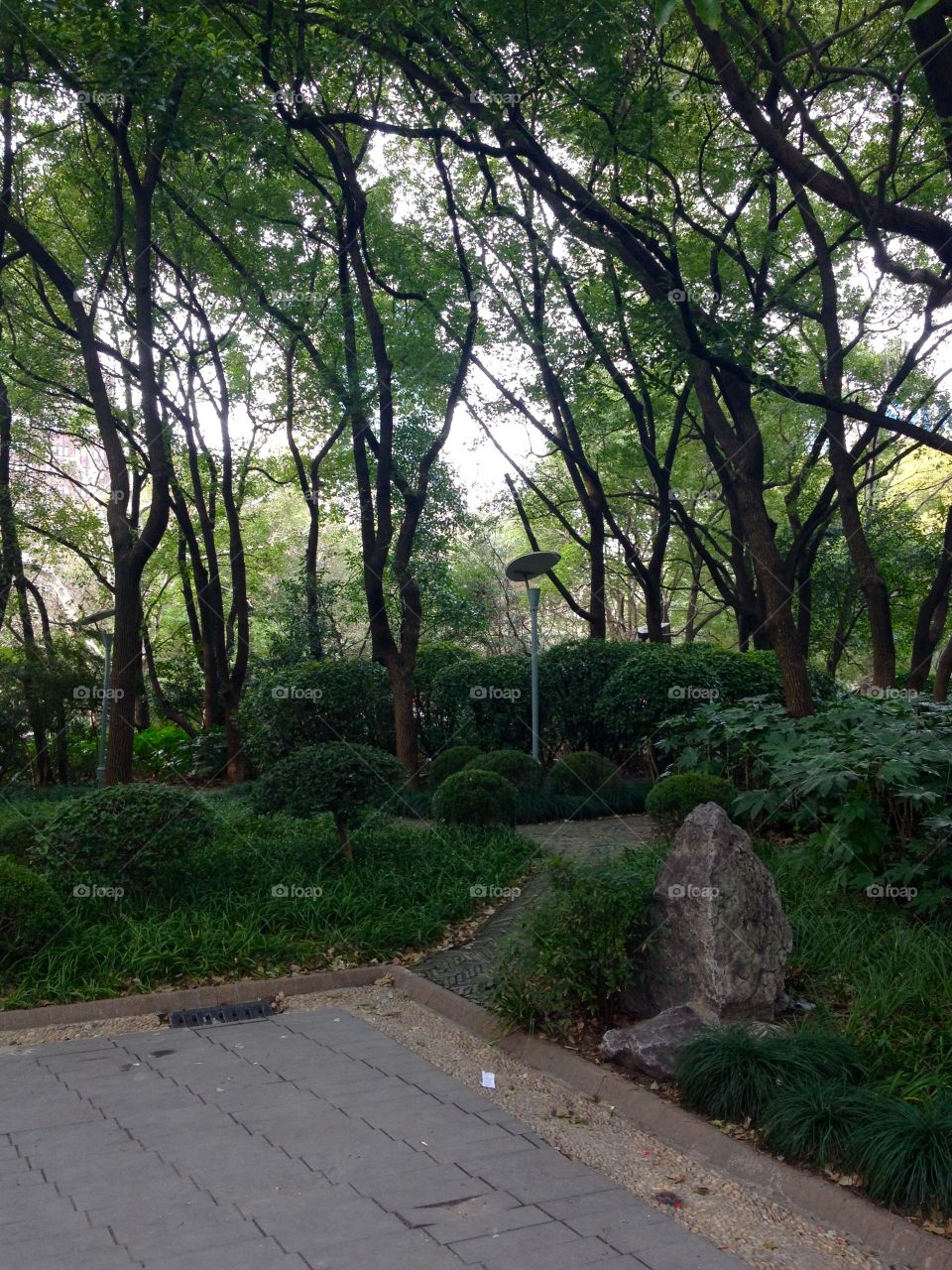 A park in Shanghai in Winter is green