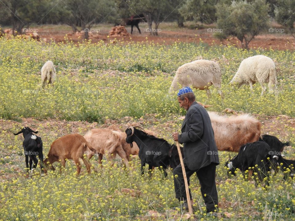 Moroccan countryside