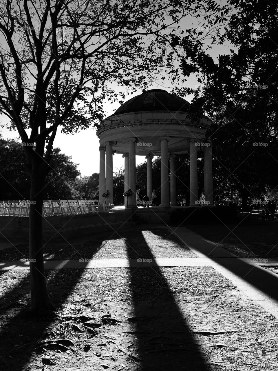 A family walk through the park
