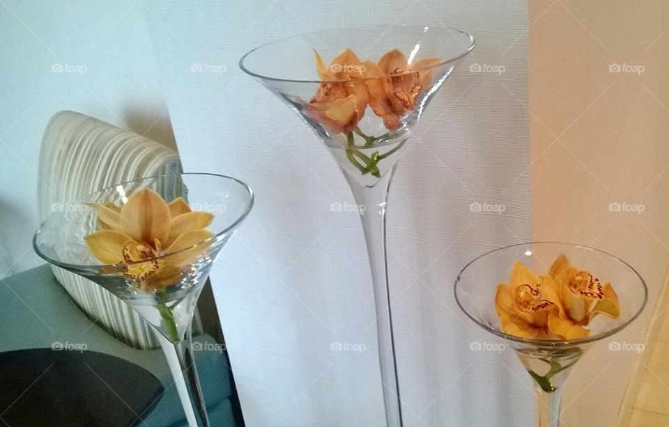 orchids in glass