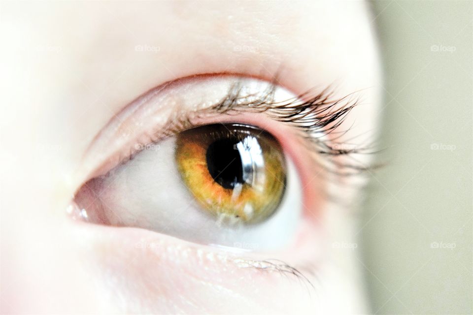 Close-up of human eye