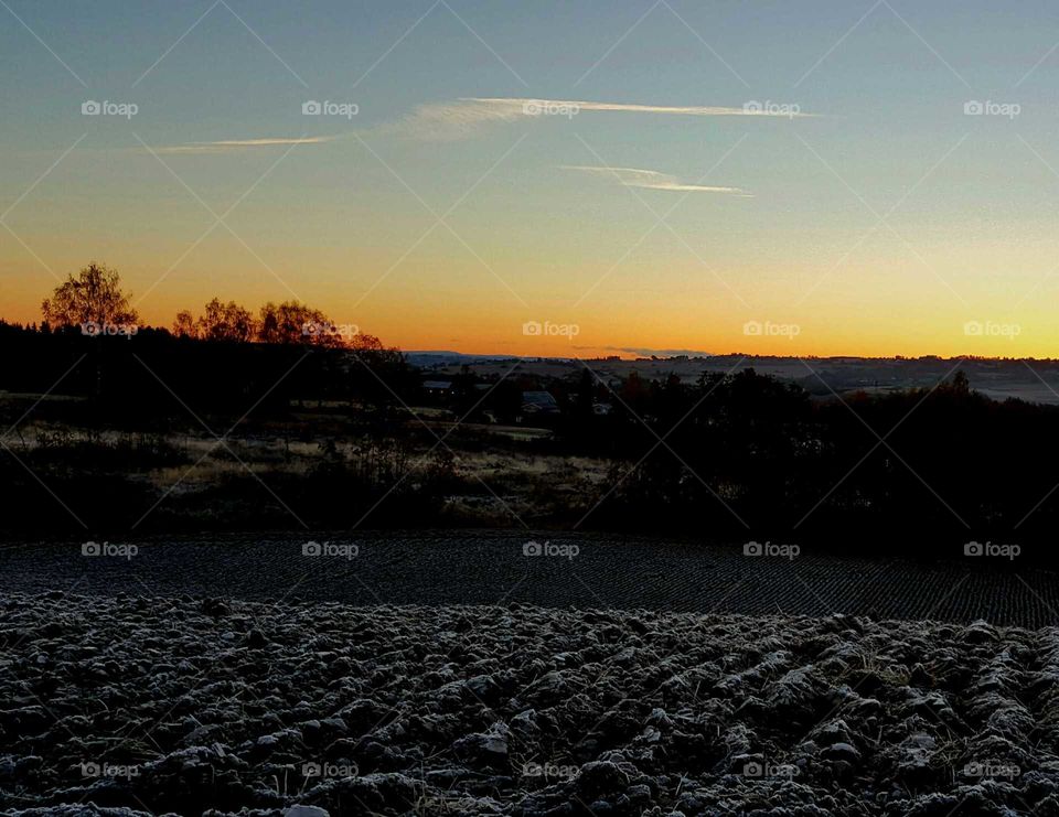 View of agriculture field during sunrise