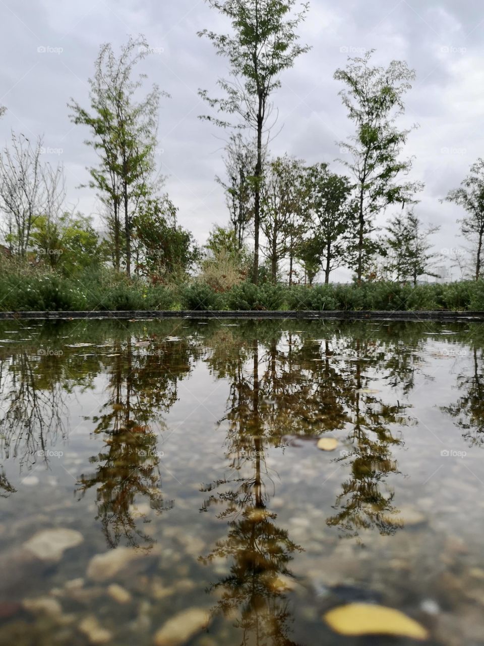 Nature and the mirror of water