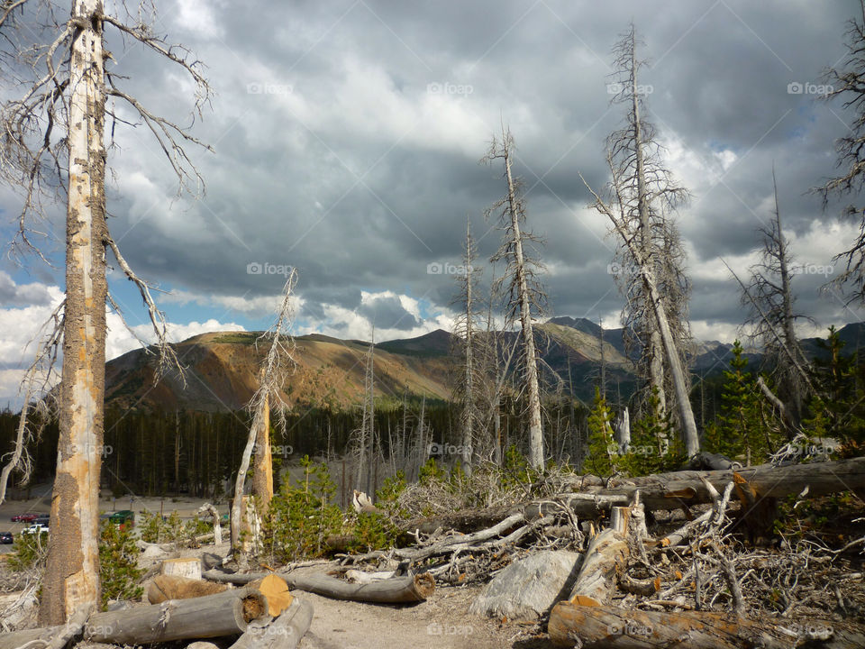 clouds trees mountains dead by kenglund