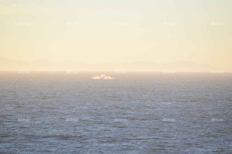 Alaska Sea in the Morn