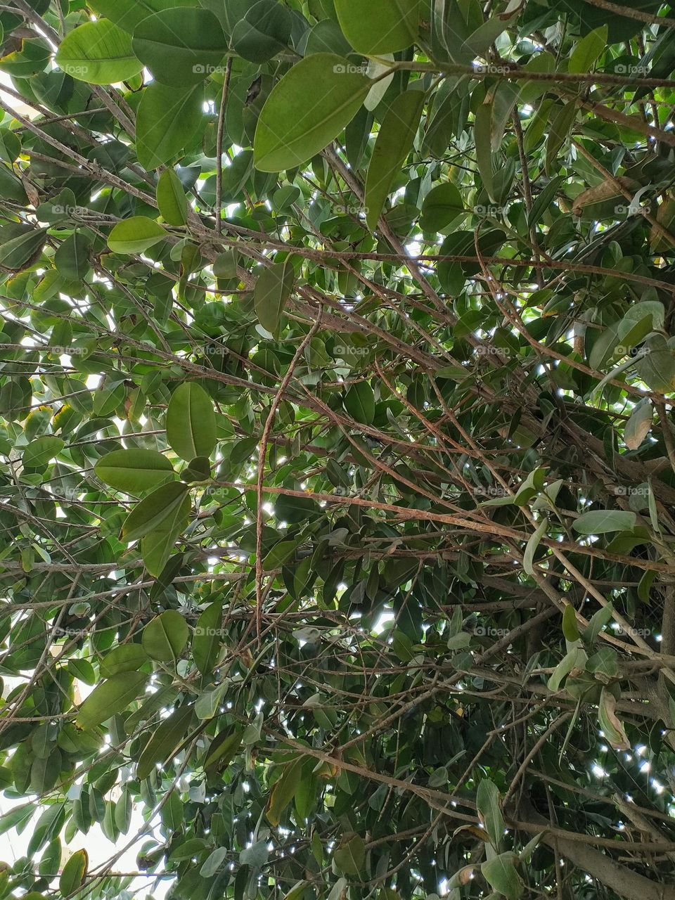 Just look above 👀