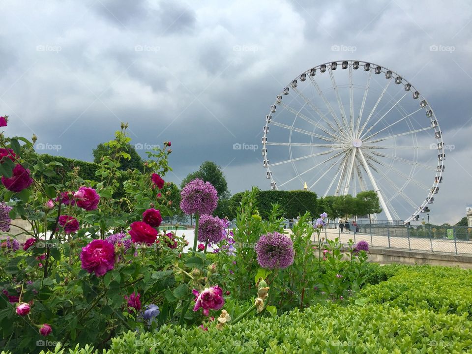 Tuileries Garden, Paris 