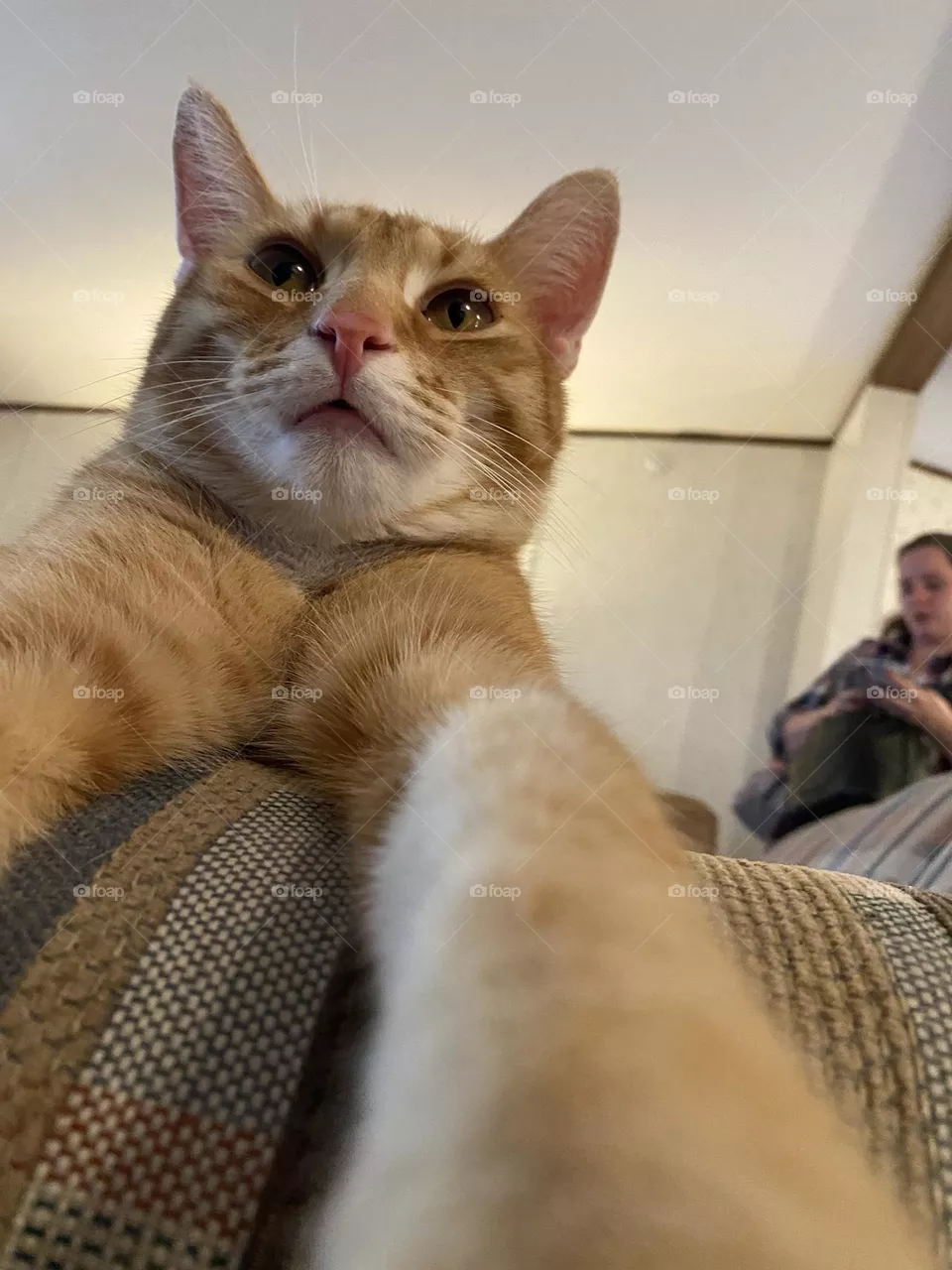 Selfie time 