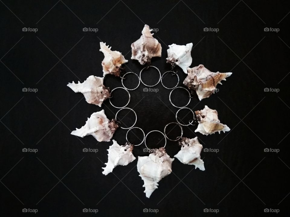 Shells keyring