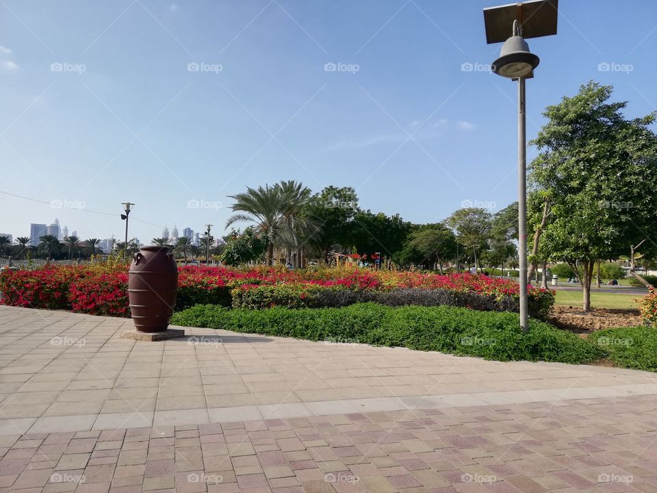 Al Barsha Pond Park Dubai