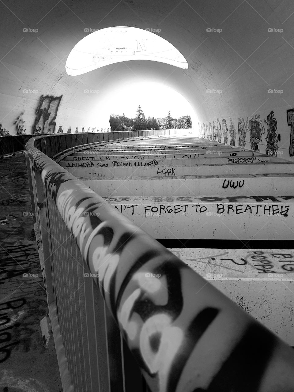 Amazing Architect Graffiti Bridge.