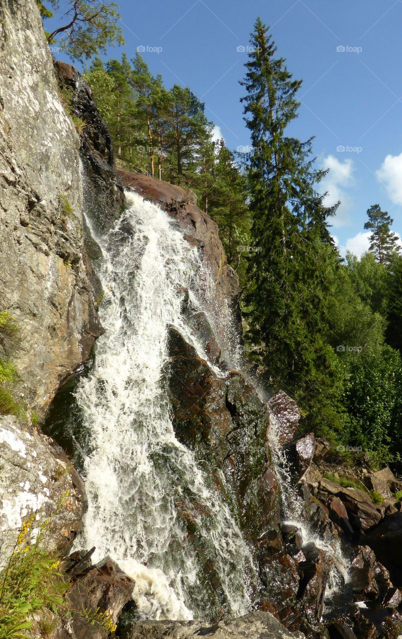 Waterfall flowing in forest