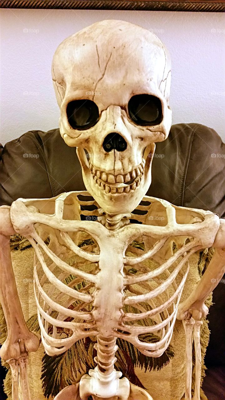 Skeleton. Skeleton decoration for Halloween!