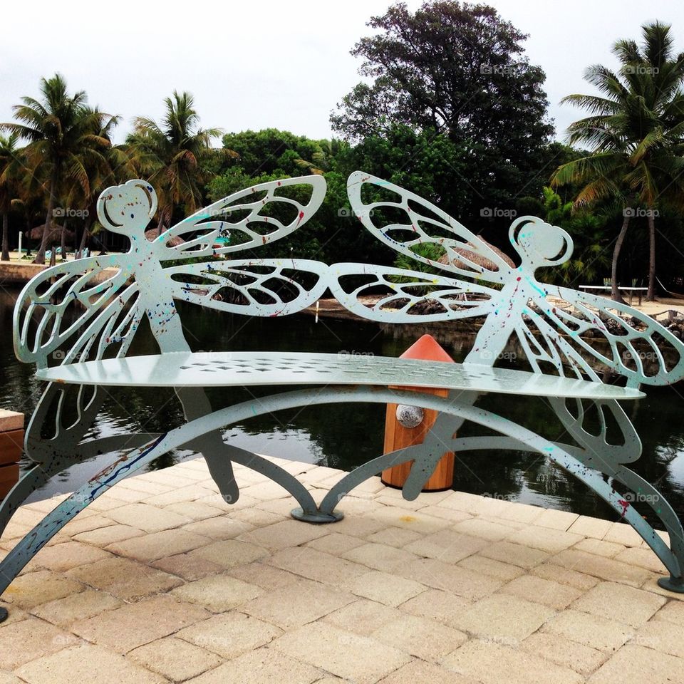 Dragonfly Bench