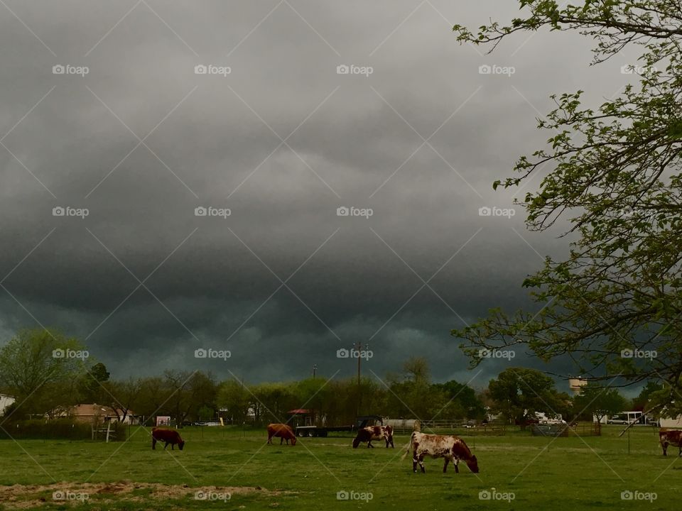 Severe thunderstorm warning and tornado warning in Joshua, Texas.