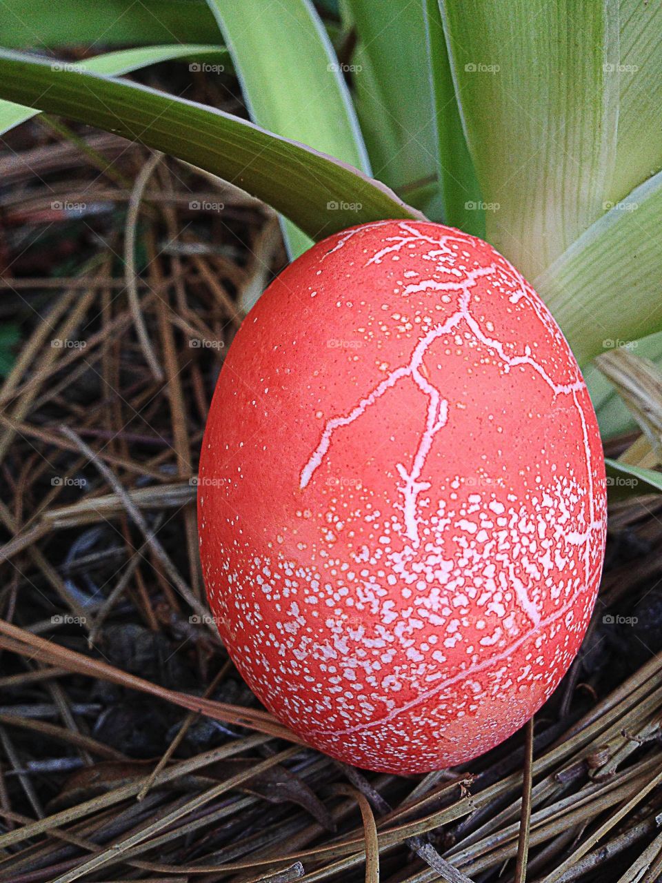 Easter egg in grass