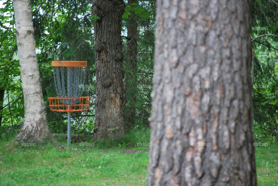 Frisbee golf