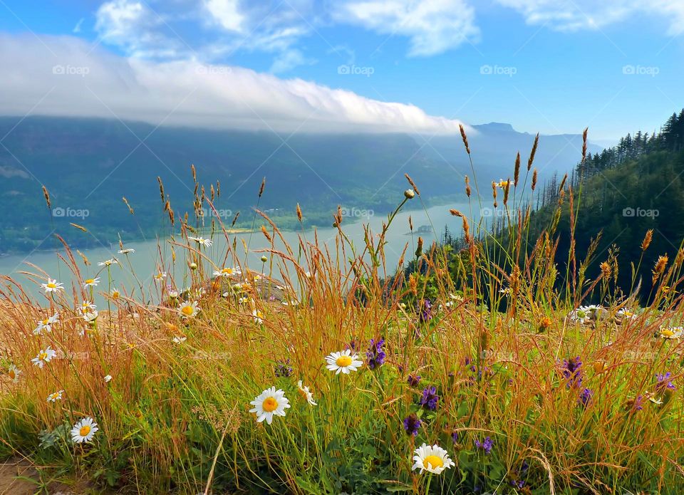 mountains view