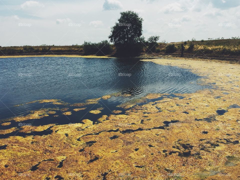 Yellow lake